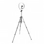 Lampa inelară pentru filmări 33cm pe trepied 144cm Beike QZSD Q5 set1