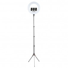 Кільцева лампа 54см LED RL-21 зі штативом 191см AC Prof