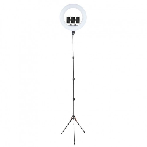 Кільцева лампа 54см LED RL-21 зі штативом 191см AC Prof
