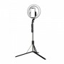 Lamă inelară 21cm pliabilă cu monopoint-trepied 160cm ACprof L06