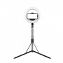 Lamă inelară 21cm pliabilă cu monopoint-trepied 160cm ACprof L06