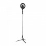 Lamă inelară 21cm pliabilă cu monopoint-trepied 160cm ACprof L06
