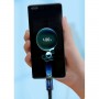 Cablu Type-C 100W încărcare rapidă 2m negru ESSAGER EXCTT1-CGA01