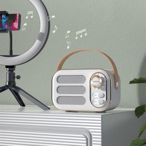 Колонка портативная Bluetooth ретро FM радио 5Вт 400мАч AC Prof DW13