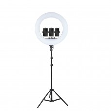 Кільцева лампа 54см LED RL-21 зі штативом 160см AC Prof