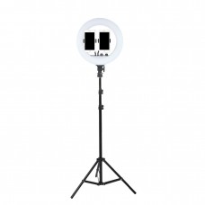 Кільцева лампа 36см LED RL-14 зі штативом 210см AC Prof