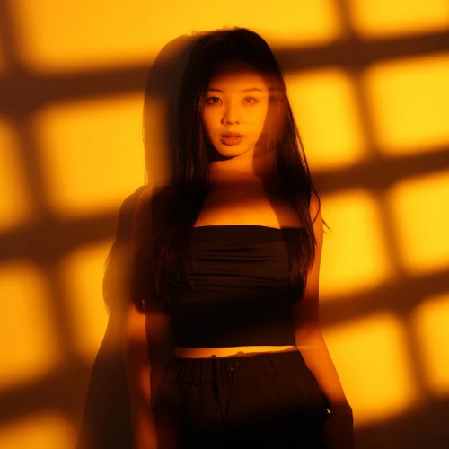 Ліхтар для фотографа/відеографа GOBO Ulanzi LM01