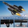 Конструктор Стратегічний літак-розвідник SR-71 Blackbird на 1733 деталі Reobrix 33041